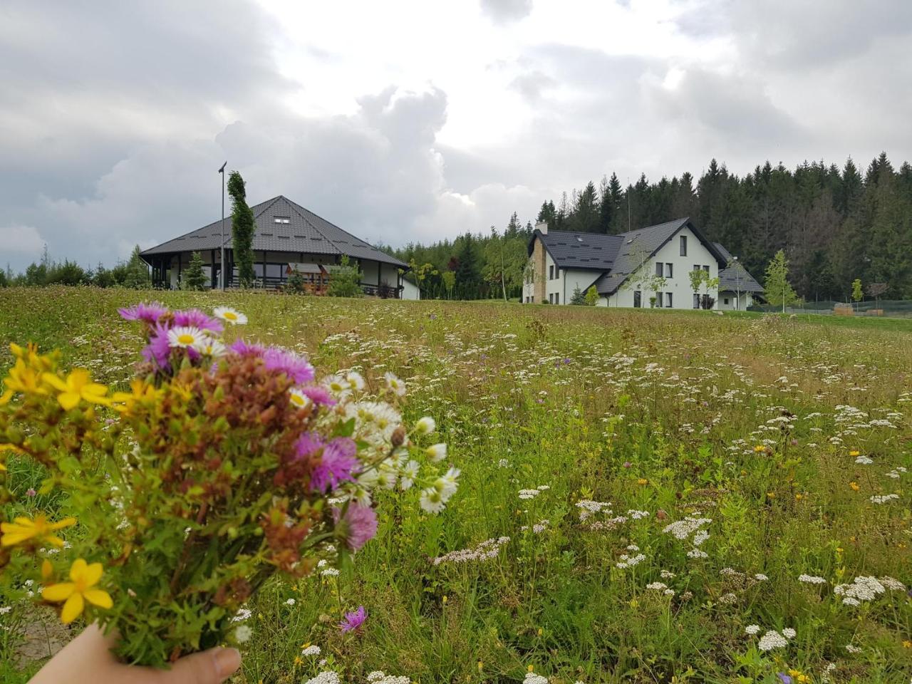 Complex Turistic Comoara Bucovinei Corlata Exteriör bild